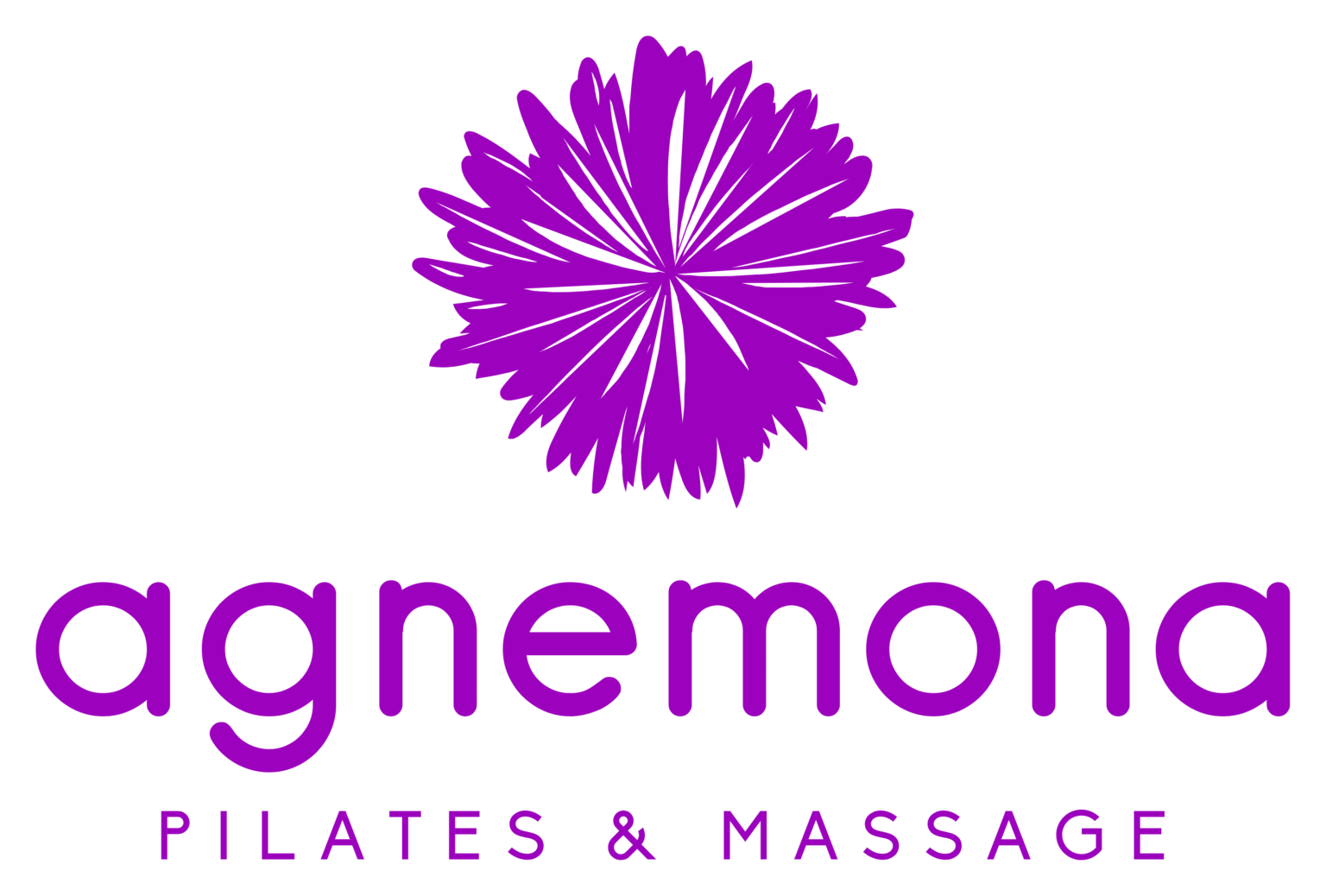 Color logo - no background - paars